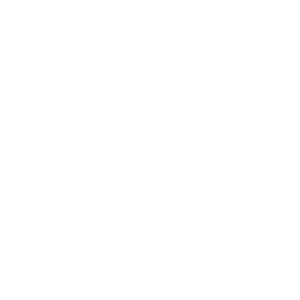 logo-vers-vering-italia-1
